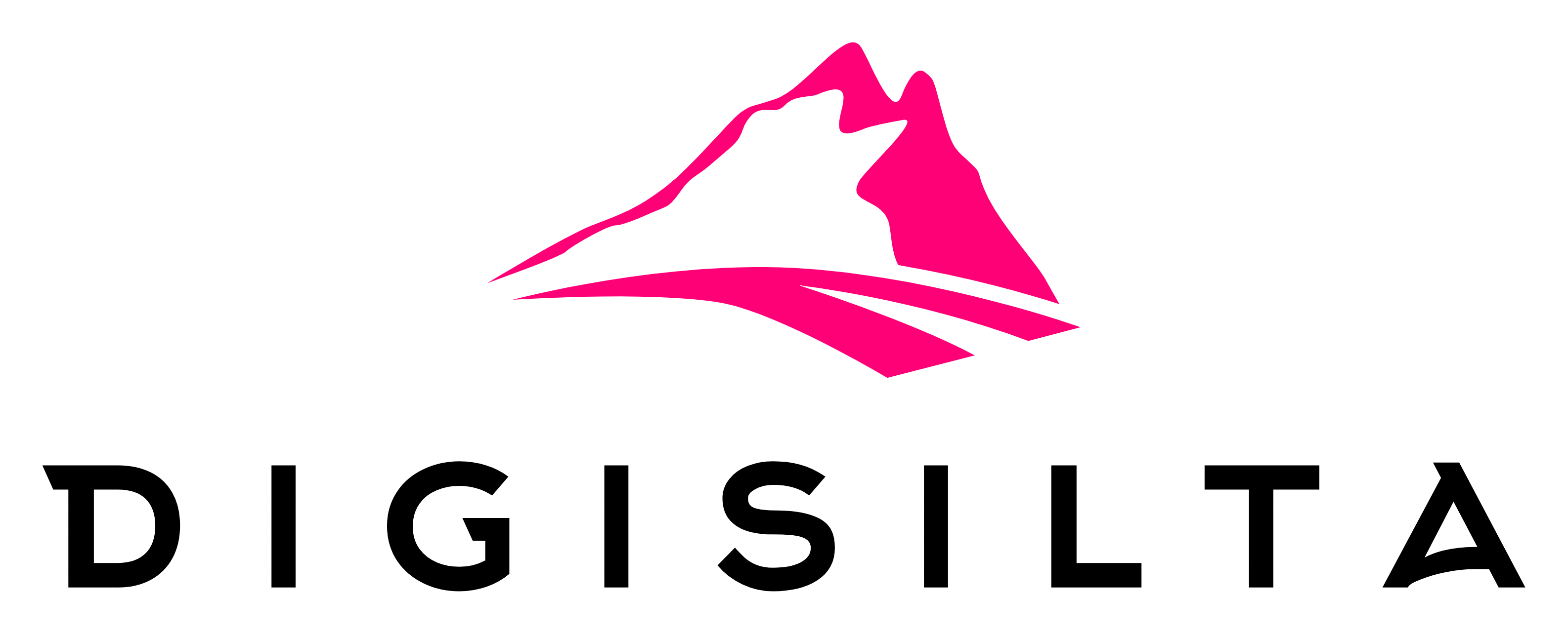 DigiSilta